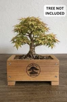 Bonsai Grow Box Shohin Development Redwood Rust Resistant 7X7X3.5 Garcia. Fixed Price $14.99.