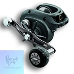 Daiwa Lexa Wn Reel 6BB 2CRBB 4BB+1 6.3:1 Right Hand Used Jp. Fixed Price $1004.56.