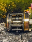Daiwa Procaster Tournament PT15E Baitcasting Reel, Tested & Working, Gently Used. Fixed Price $225.00.
