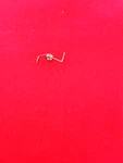 Pflueger Reel Parts Spring Fits Supreme Lpl # 1146787. Fixed Price $11.96.