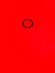 Daiwa Reel Part "o"ring G16-2401 Fits BG1500,2000,3000 See Desc.. Fixed Price $12.97.