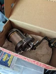 Shimano Torium Hga Conventional Saltwater Star Drag Fishing Reel. Fixed Price $200.00.