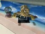 Shimano Calcutta Gold Series 251 Mint Condition. Fixed Price $304.32.