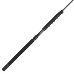 Penn Carnage Iii Boat Conventional Spinning Fishing Rod 8 Up To 100 Lbs, Black. Fixed Price $319.95.
