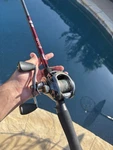 Combo Bass Pro/kvd. Fixed Price $200.00.