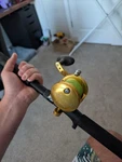 Avet Mxj 5.8:1 Right Hand Lever Drag Reel Gold. Fixed Price $220.00.