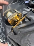 Rare Gold Vintage Daiwa Procaster Tournament Pta 33 Fishing Reel. Fixed Price $44.95.