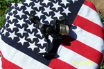 Fishing Pinnacle Millenia Ultra Light Spinning Reel (YCLM25). Fixed Price $14.00.
