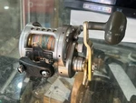 Daiwa 40HA Saltist-lw Overhead Fishing Reel. Fixed Price $184.13.