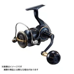 Daiwa 23 Saltiga 4000-XH Spinning Reel. Fixed Price $800.00.