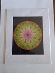 Brett Miley "changing" Limited Edition 14/250 Hand Signed Digital Photo Print. Fixed Price $30.00.