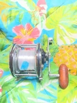 Penn Senator 2/0 Reel. Fixed Price $154.92.