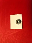 Daiwa Parts #E17-5201, Thrust Bearing, Fits LD50H Baitcasting Reels. Fixed Price $29.97.