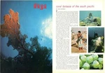 1970 Fiji Print Article Coral Fantasia Of The South Pacific Ken Reynolds. Fixed Price $14.99.