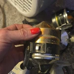 Zebco 181 Classic Spincast Reel, 2.6:1, Anti-reverse, Gold/black/silver. Fixed Price $20.00.