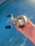 Quantum DS301CX Baitcast Reel 6.2:1 4 Bearings Gold Silver Black. Fixed Price $32.99.