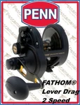 Fishing Reel Spinning Penn Fathom Lever Pull 2 Speed. Fixed Price $416.48.